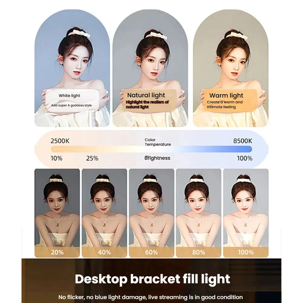 Live streaming Handheld Ring Fill Light Rechargeable 4000mAh Adjustable Brightness RGB Lights Phone Camera Portable Selfie Light