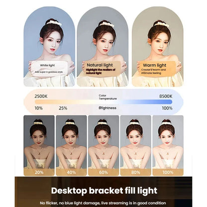 Live streaming Handheld Ring Fill Light Rechargeable 4000mAh Adjustable Brightness RGB Lights Phone Camera Portable Selfie Light