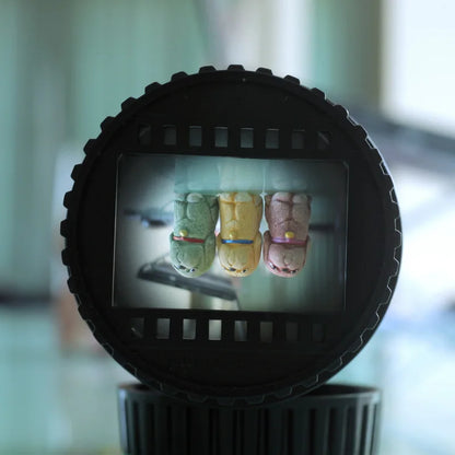 camera imaging lens covers E-mount Live view len protect cap Playfulness interest funny image lens's back cover M-mount  cameras