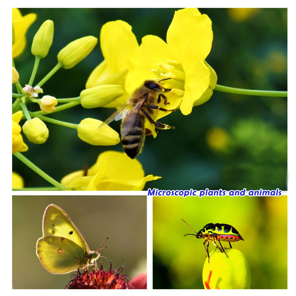 30-120mm Macro Lens Long Distance Professional Universal Clip Camera Photo Lens CPL Star Filters for iPhone XIAOMI HUAWEI Mobile