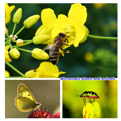 30-120mm Macro Lens Long Distance Professional Universal Clip Camera Photo Lens CPL Star Filters for iPhone XIAOMI HUAWEI Mobile