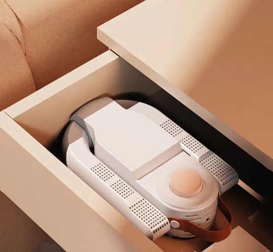 Electric Shoe Dryer